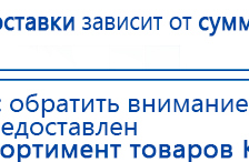 ЧЭНС-01-Скэнар-М купить в Ревде, Аппараты Скэнар купить в Ревде, Нейродэнс ПКМ официальный сайт - denasdevice.ru